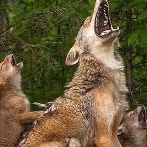 Meet your Posher, Stephen